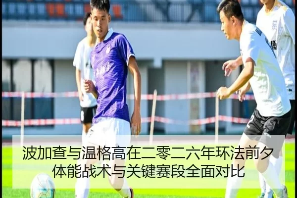 波加查与温格高在二零二六年环法前夕体能战术与关键赛段全面对比