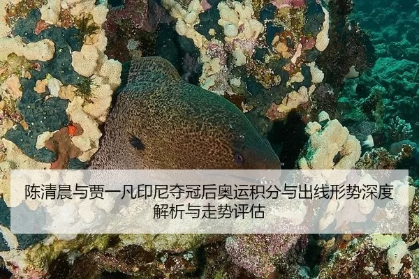 陈清晨与贾一凡印尼夺冠后奥运积分与出线形势深度解析与走势评估
