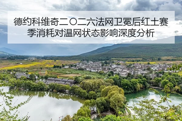 de-yue-ke-wei-qi-er-ling-er-liu-fa-wang-wei-mian-hou-hong-tu-sai-ji-xiao-hao-dui-wen-wang-zhuang-tai-ying-xiang-shen-du-2-802.jpg