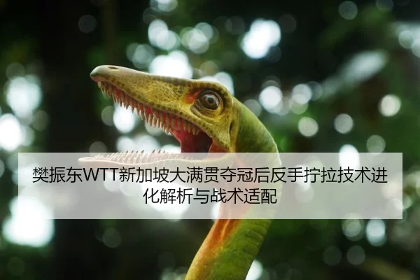 樊振东WTT新加坡大满贯夺冠后反手拧拉技术进化解析与战术适配